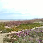 T2 Dans Village Naturiste En Bord De ルカート
