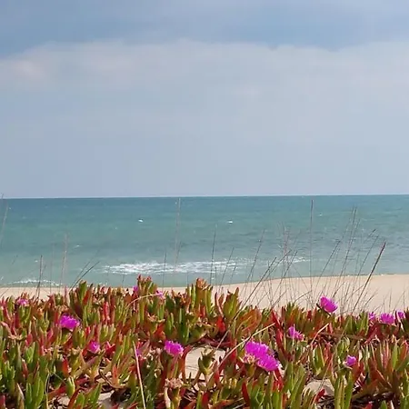 Apartamento T2 Dans Village Naturiste En Bord De