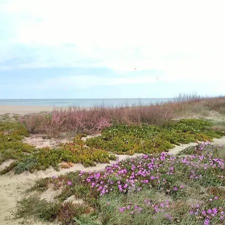 T2 Dans Village Naturiste En Bord De Leucate