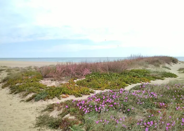 T2 Dans Village Naturiste En Bord De Leucate