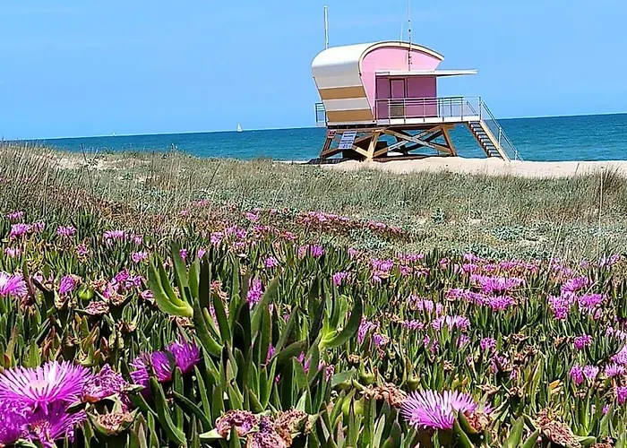 T2 Dans Village Naturiste En Bord De Appartement *